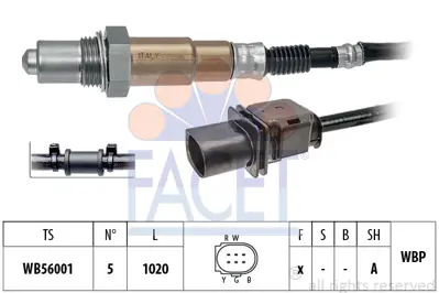 FACET 10.8392 Oksıjen Sensoru 6F906262J