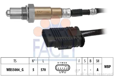 FACET 10.8571 Oksıjen Sensoru Katalızator Onu Bmw F20 F30 F32 F36 G30 G11 G02 G01 8631047