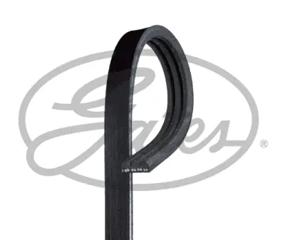 GATES 3PK817SF V Kayısı PY0115908
