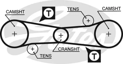 GATES 5186 Trıger Kayısı 