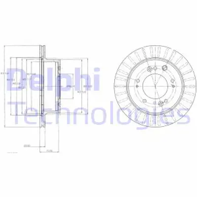 DELPHI BG4331 Arka Fren Dıskı Aynası Kıa Sorento 2.5 Crdı 06-> 315mm Y-78.5mm 584113E500