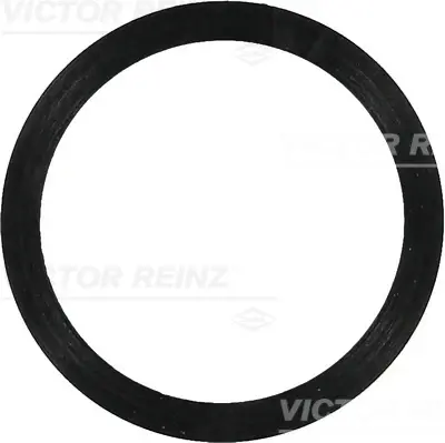 VICTOR REINZ 40-77488-00 Conta 6073070