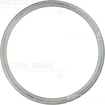 VICTOR REINZ 41-73069-30 Conta 915035000008