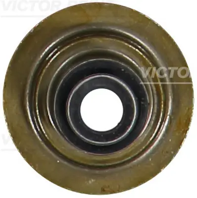 VICTOR REINZ 70-31881-00 Motor Subap Lastıgı 6812779