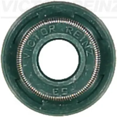 VICTOR REINZ 70-37969-00 Motor Subap Lastıgı 30720176