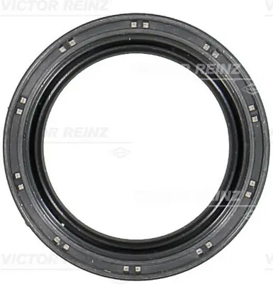 VICTOR REINZ 81-10458-00 On Krank Kecesı Astra K B14xe 614233