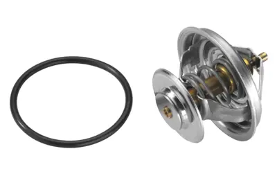 WAHLER 4105.71D Thermostate 52032875