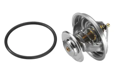 WAHLER 4105.79D Thermostate 52032775