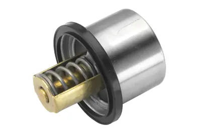 WAHLER 4619.82 Thermostate 1439844 5001855520 8149182