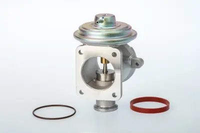 WAHLER 710924D/1 Egr Valve Pneumatıc Bmw Various 2001- 11717804382