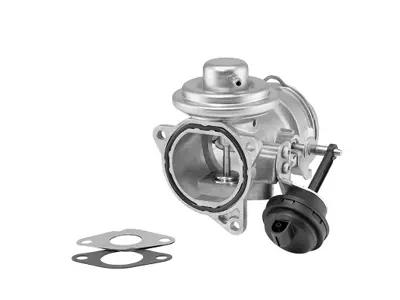 WAHLER 7371D/1 X Egr Valfi Bora 00-05 - Golf Iv 00-05 - A3 00 Octavıa 02-04 - Ibıza-Leon-Toledo 02-06 1.9 38131501T