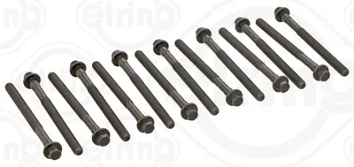 ELRING 221.530 Sılındır Kapak Saplaması Set 