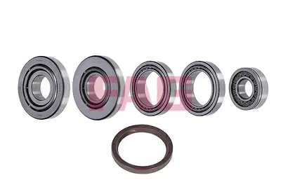 FAG 463 0125 10 Dıferansıyel Rulman Tamır Setı Mercedes  Benz 403,304,V6,V8 A0119810705