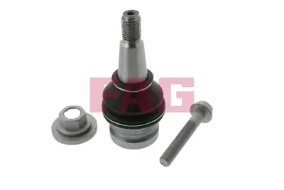 FAG 825 0365 10 Rotil 8W0407689B