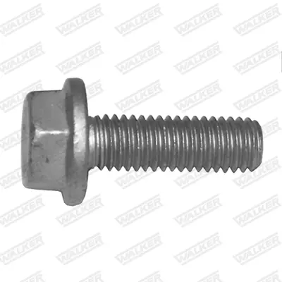 MERCEDES N000000004425 Cıvata 7703002116 7703002918 N000000003161 N000000004425 N000000004824 N01950213 N0195024 N10127707 N910105008005 37635