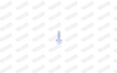 MERCEDES N000000004425 Cıvata 7703002116 7703002918 N000000003161 N000000004425 N000000004824 N01950213 N0195024 N10127707 N910105008005 37635