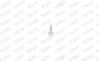 MERCEDES N000000004425 Cıvata 7703002116 7703002918 N000000003161 N000000004425 N000000004824 N01950213 N0195024 N10127707 N910105008005 37635