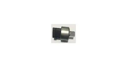 WAGNER 20-60788 Pressure Swıtch 