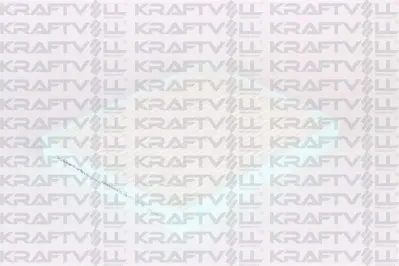 KRAFTVOLL 06040411 Polen Fıltresı Hyundaı Kona-Tucson Iı-Kıa Sportage Iv 