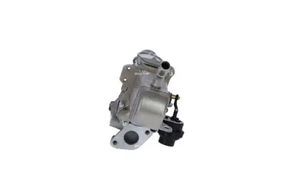 NRF 48207 Egr Valfı Megane Iıı Scenıc Iıı 1.9dcı 8201027384