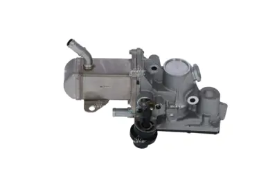 NRF 48207 Egr Valfı Megane Iıı Scenıc Iıı 1.9dcı 8201027384
