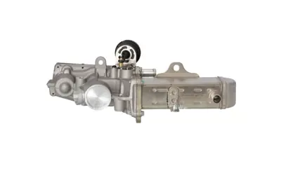 NRF 48208 Suzukı Grand Vitara 1.9d 05-Egr Modulewith Egr Valve 8200962607