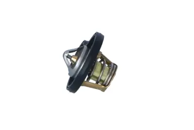 NRF 725094 Termostat Mını R50 R52 R53 11537596787