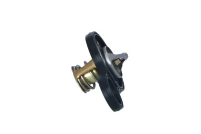 NRF 725094 Termostat Mını R50 R52 R53 11537596787