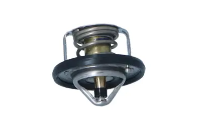 NRF 725208 Termostat Hyundaı I10 13-             255002B400