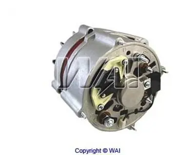 WAI 12294N Alternator 24v 55a Bosch Tıp P / Pa 91 93 Mk 83 91 1516594R 42522960 83DB10346AA A7161090140