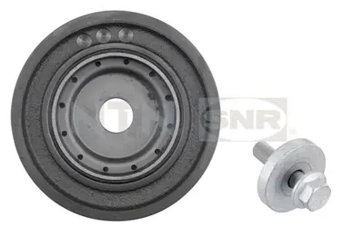 NTN / SNR DPF355.15K1 Krank Kasnağı Kiti 8200392697
