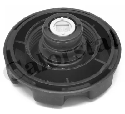 CALORSTAT by Vernet ET0061C1 Yedek Su Deposu Bmw E70 E71                                   17138621092