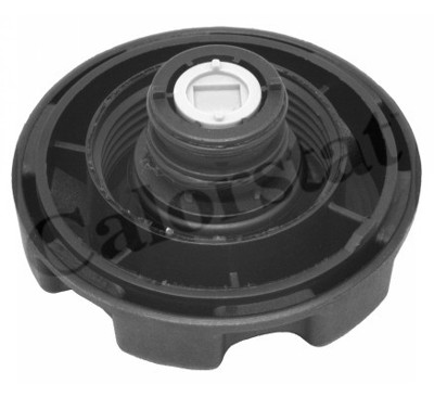 CALORSTAT by Vernet ET0133C1 Radyator Su Deposu Bmw E60 E63 E64 17137542986