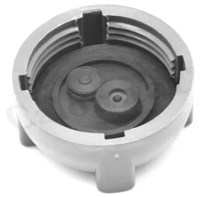 CALORSTAT by Vernet RC0036 Radyator Kapak 547121321 99610644704