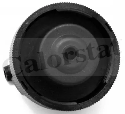CALORSTAT by Vernet RC0085 Radyator Kapagı - Iveco Truck 1306E7 99489567