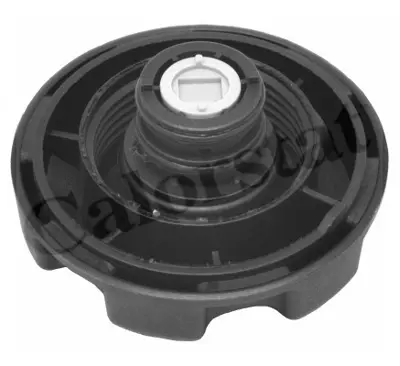 CALORSTAT by Vernet RC0087 Radyator Kapagı Bmw E60  X5 E70  X6 E71 F10 F01 M54 N43 N46 N52 N55 N62 N63  2.0 Bar 17137516004