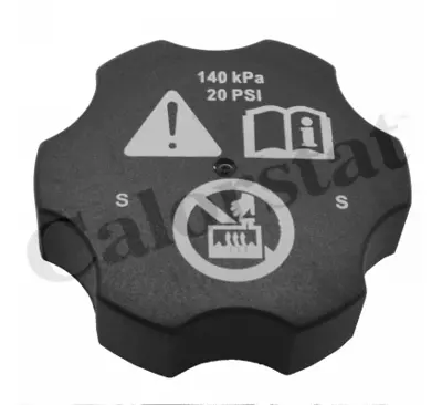 CALORSTAT by Vernet RC0144 Sogutma Maddesı Kabı Kapagı - Dodge 13502353 13598760 K68442532AA