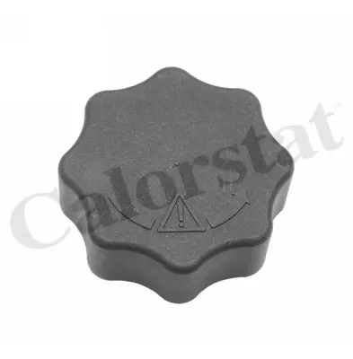 CALORSTAT by Vernet RC0198 Radyator Kapagı (1.15 Bar) Mını R50 R53 R52 17137791943