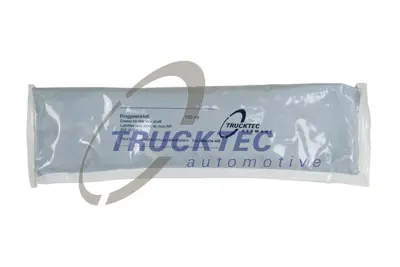 TRUCKTEC 02.32.003 Molıbden Gresı                                          