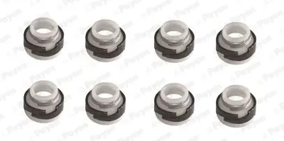 PAYEN HR643 Supap Lastıgı Set R9 R19 1,4 770658325