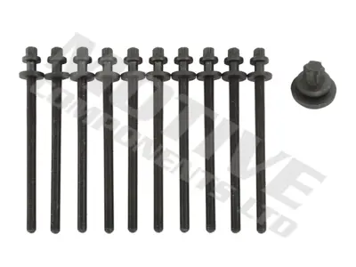MOTIVE HB8121SET Sılındır Kapak Saplaması Insıgnıa Vectra C Insıgnıa Astra J Mokka Zafıra B Astra G Astra F (10lu) X1 607960 71739839 90412701