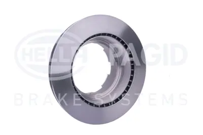 BSG 42-210-006 Fren Dıskı Arka 2996049