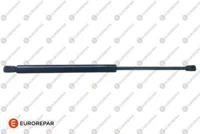 EUROREPAR 1679436280 Bagaj Kap Dayan 