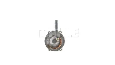 BEHR MAHLE AVE 104 000P Klıma Valfı A4638306601