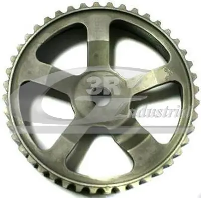 3RG 10647 Eksantrık Dıslısı Clıo Kangoo Laguna Iı Megane Iı Scenıc Iı Trafıc Iı Master Iı 1.9d / 1.9dcı 8200277233