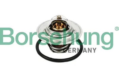 BORSEHUNG B13140 Termostat 87°c° Bora Caddy Golf Passat Polo T5 Sharan Octavıa Fabıa Toledo Ibıza Cordoba A3 A4 A6 50121113C