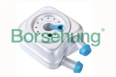 BORSEHUNG B14506 Yag Sogutucusu Bora Golf Iv / V / Vı Jetta Iıı Passat Polo Touran Caddy Iıı A3 A4 A6 A8 Tt A80 Altea 78117021A
