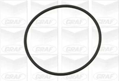 GRAF PA653 Devirdaim Pejo 406 3.0 Xantıa 3.0 Xm 3.0 407 3.0 607 3.0 C5 C8 Laguna 3.0 Espace 3.0 1201C7 9640344280