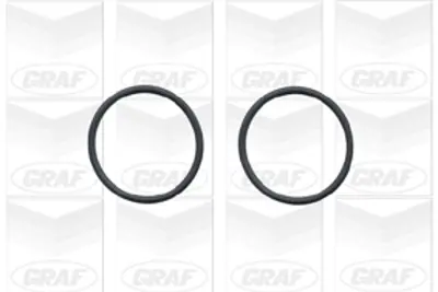 GRAF PA779 Devirdaim Komple Passat 97-00 A4 95-00 A6 95-97 1.8 T-1.8 Enj. 50121010CX 50121010X