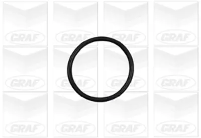 GRAF PA886 Devirdaim Clıo Iı 3.0 V6 Sport 02 Laguna Iı 3.0 V6 01-07 406 3.0 V6 00-04 1201F6 9641117180